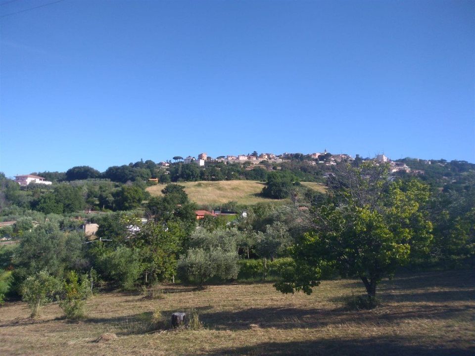 Foto Cometa 1 — Terreno agricolo in vendita a Lanuvio